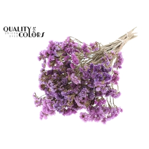 Statice per bunch Natural Pink