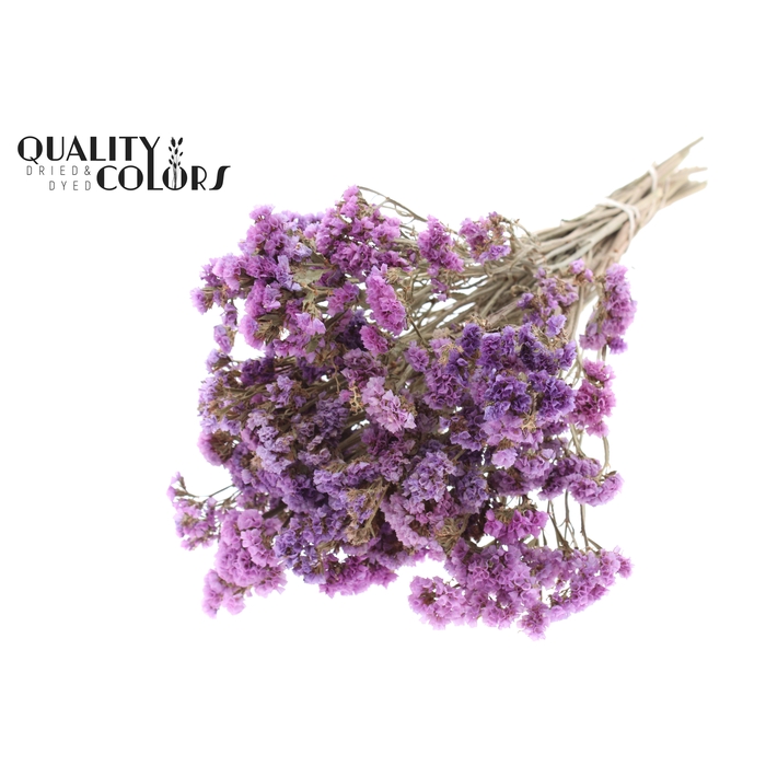 <h4>Statice per bunch Natural Pink</h4>