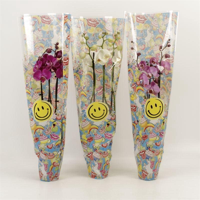 <h4>Phal Gemengd 3 Tak Hoes Smiley</h4>