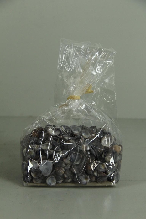 <h4>Shell Brown Chippy (500gr)</h4>