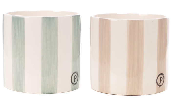 <h4>P&PURE Eline 2 ceramics 2 ass.</h4>