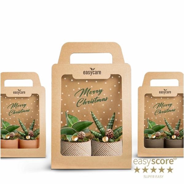 <h4>Christmas 2-Pack</h4>