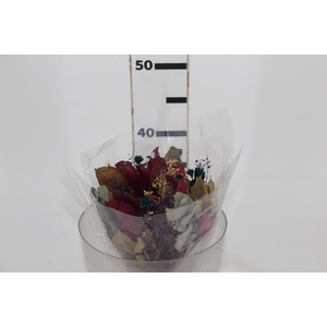 PLANTA SECA BUQUE VARIADO SEMENTE PINK 40CM