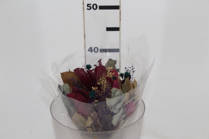 <h4>PLANTA SECA BUQUE VARIADO SEMENTE PINK 40CM</h4>