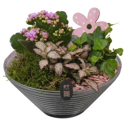 <h4>PTIG2659 Arrangement Indoor in glas schaal</h4>