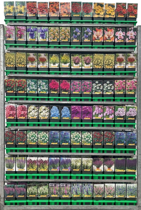 <h4>Vaste planten mixkar</h4>