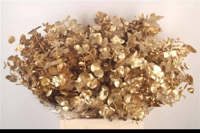 <h4>EUC CIN KLB P BOS H%</h4>