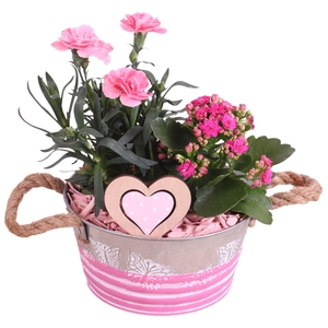 Mothersday Arr. Outdoor Zinc Butterfly Pot Ø18cm 2PP