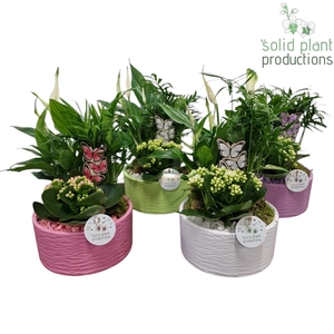 SCK003 Loes Actie Mix