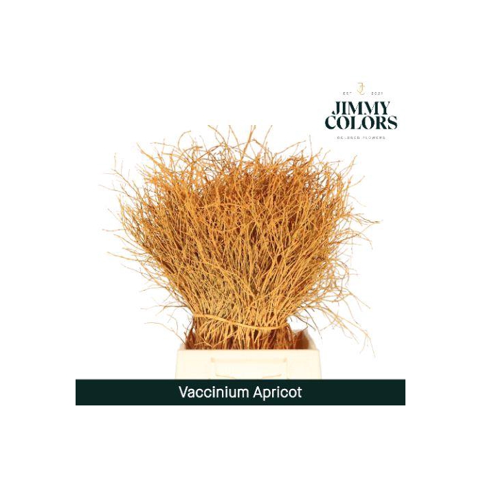 <h4>Vaccinium L50 Apricot</h4>