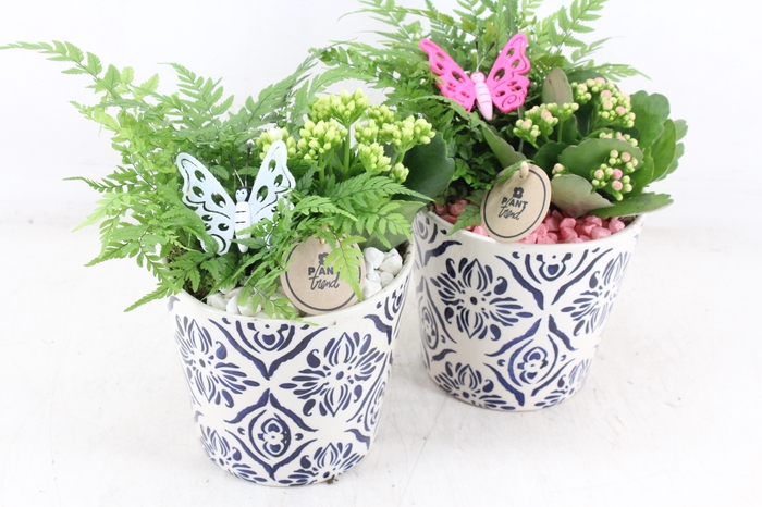 <h4>arr2 PL - Ker. pot delft blauw - roze/wit</h4>