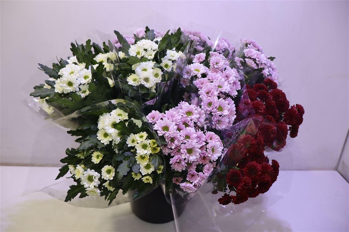 <h4>Chr S Gem Fst</h4>