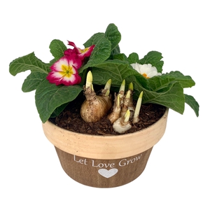 Love Rond Hout 2x prim 1x tet 542