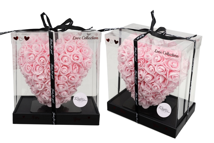 <h4>ARR ROSA POT H%</h4>