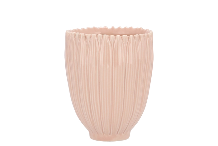 Bloom Daisy Dreamy Peach Cup 9x9x11cm