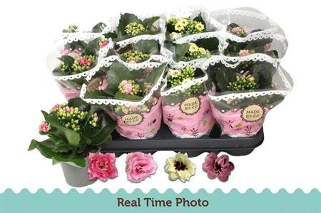 Kal Ge Gem Tweekl Bl