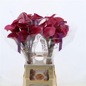 Calla Tokyo
