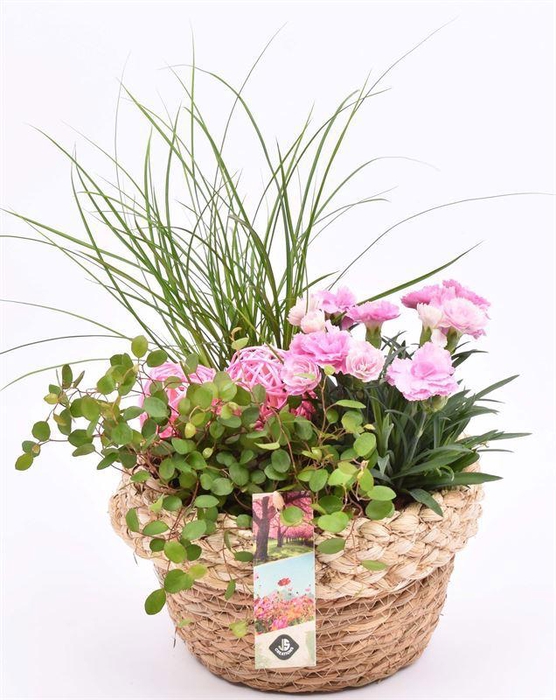 <h4>Jute mand met rand 18cm</h4>