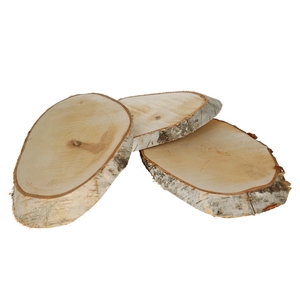 Droogdeco Houtschijf berk d34*20cm