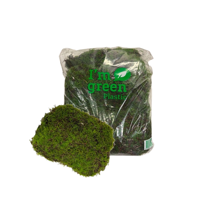 <h4>Mos Platmos ( Bio Zak )</h4>
