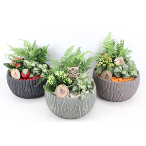 arr2 PL - Keramiek motief mix