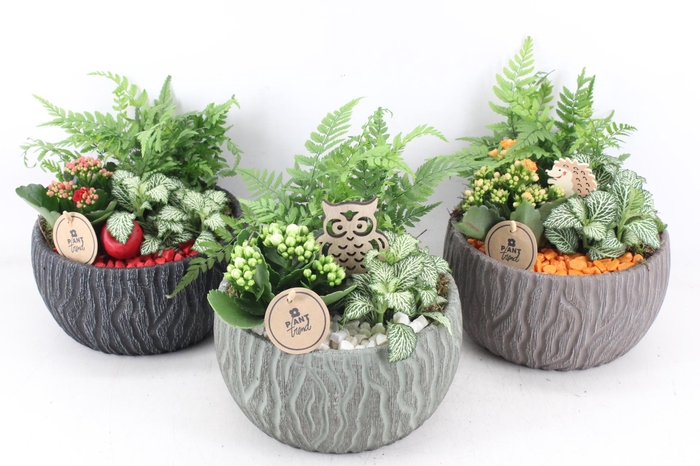 <h4>arr2 PL - Keramiek motief mix</h4>