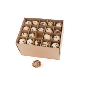 Kwarteleitjes echt naturel 60st/ds