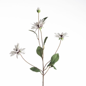 AF Rudbeckia L83cm White