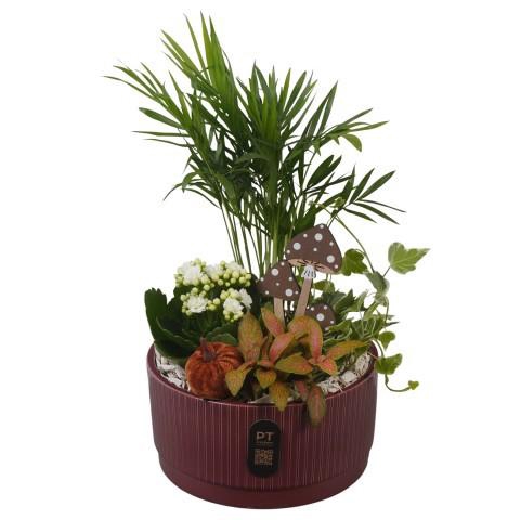 <h4>PTHI3221 Arrangement Autumn Indoor in keramiek schaal</h4>