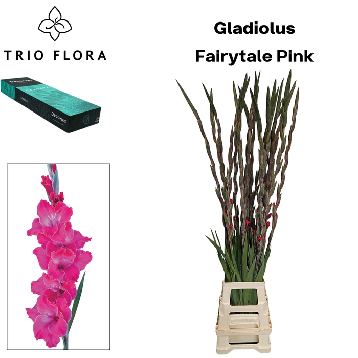 <h4>GLAD GR FAIRYTALE PINK Small Box 30</h4>