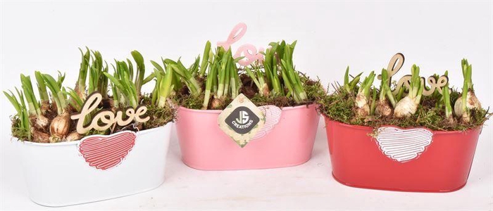 <h4>Zink met hart mix 19x10cm</h4>