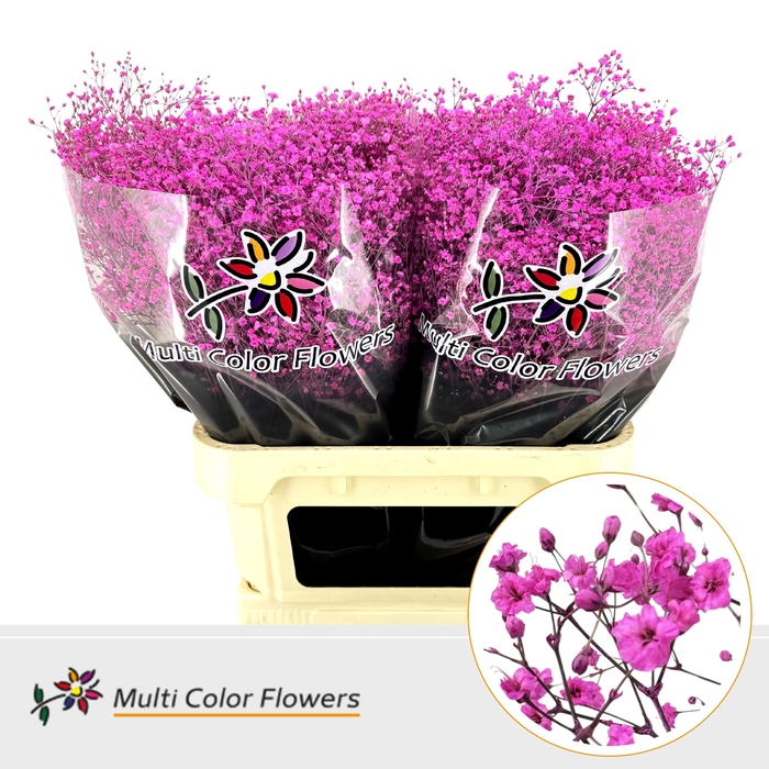 <h4>Gyps Fijn Hot Pink</h4>