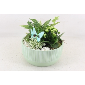arr2 PL - Ker. ribbel groen schaal 250/2