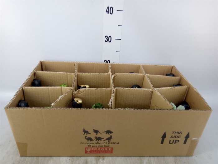 <h4>Arr.  Succulents L%</h4>