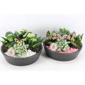 arr2 PL - Ker. schaal 25cm black - roze/wit