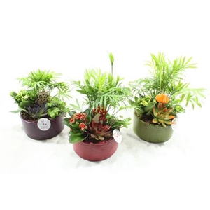 CH003 LOES AUTUMN CH