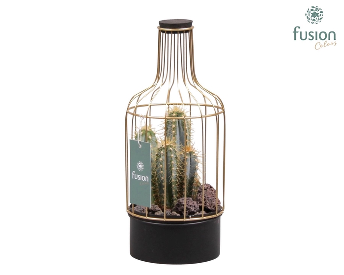 <h4>Green Bottle metaal met cactus</h4>