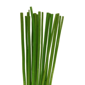 Dried articles Bamboostick 100cm x20