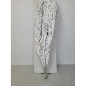 BETULA BS KLB WIT SNEEUW PER TAK