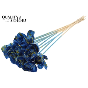 Shola Dear Holly 6cm on stem Splashed Blue/Yellow