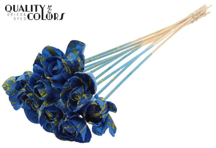 Shola Dear Holly 6cm on stem Splashed Blue/Yellow