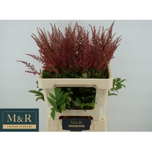 ASTIL AR ELSE SCHLUC