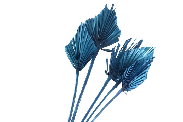 Palm Spear Blue Dark