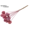 Atta Fruit on stem Intense Frosted Pink