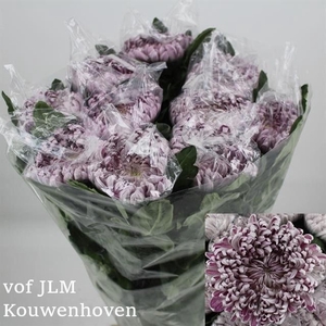 Chr g Gilbert Leigh Silver