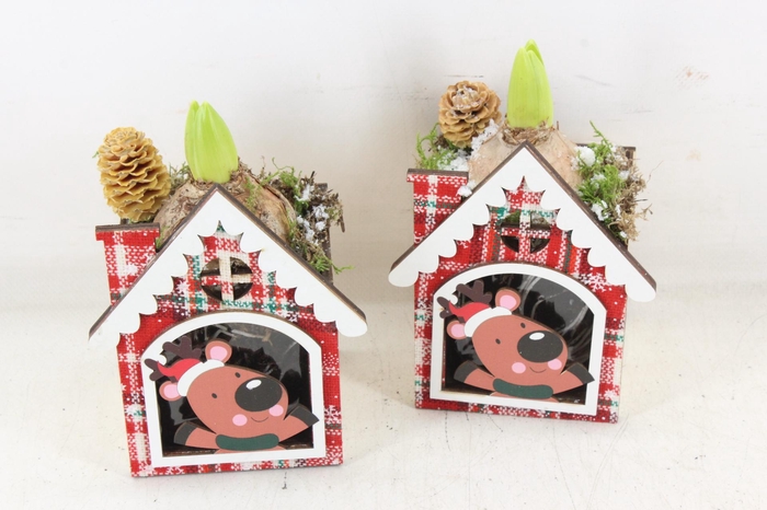 <h4>arr4 Hyacint JS - Christmas house</h4>