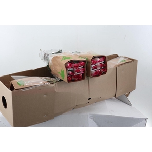 R Gr Stunning Box Fu