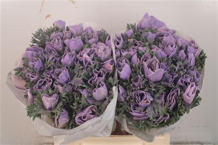 <h4>Anemone Powder. Lavendel</h4>