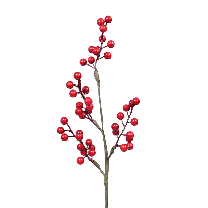 <h4>Kerst Tak bessen 46cm</h4>