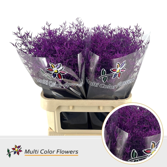 <h4>LIM OV KLB H%</h4>